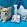 The-Pet-Doctor.jpg The-Pet-Doctor.jpg